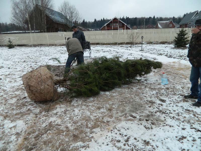 Коттеджный поселок Дюна