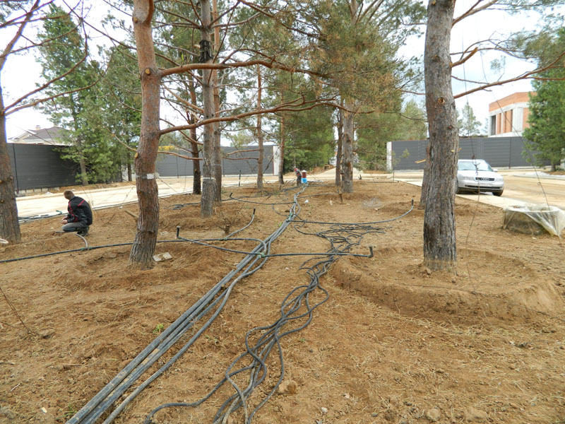 Полив участка